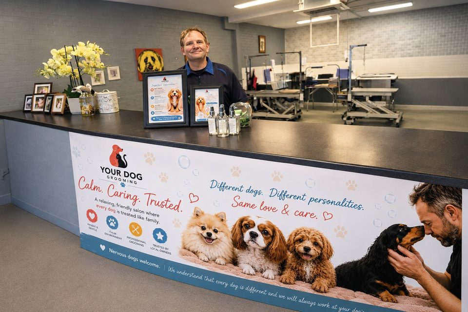 Denis at the Your Dog Grooming reception desk