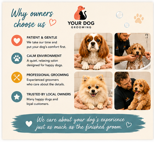 Your Dog Grooming Salon